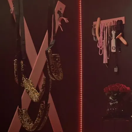 아파트 Pink Bdsm Apartment Lalka Milosci 브로츠와프