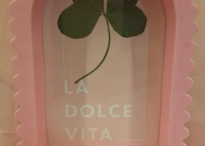 Apartment Pink Bdsm Apartment Lalka Milosci Wroclaw